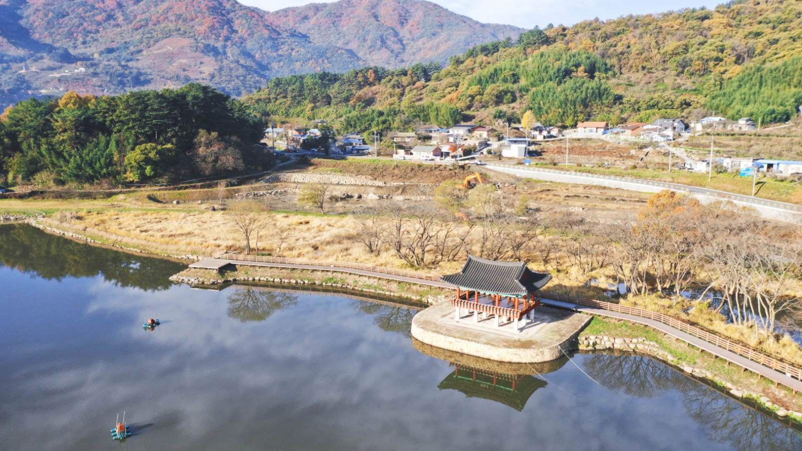 哇，人参随便挖！韩国还能这么玩