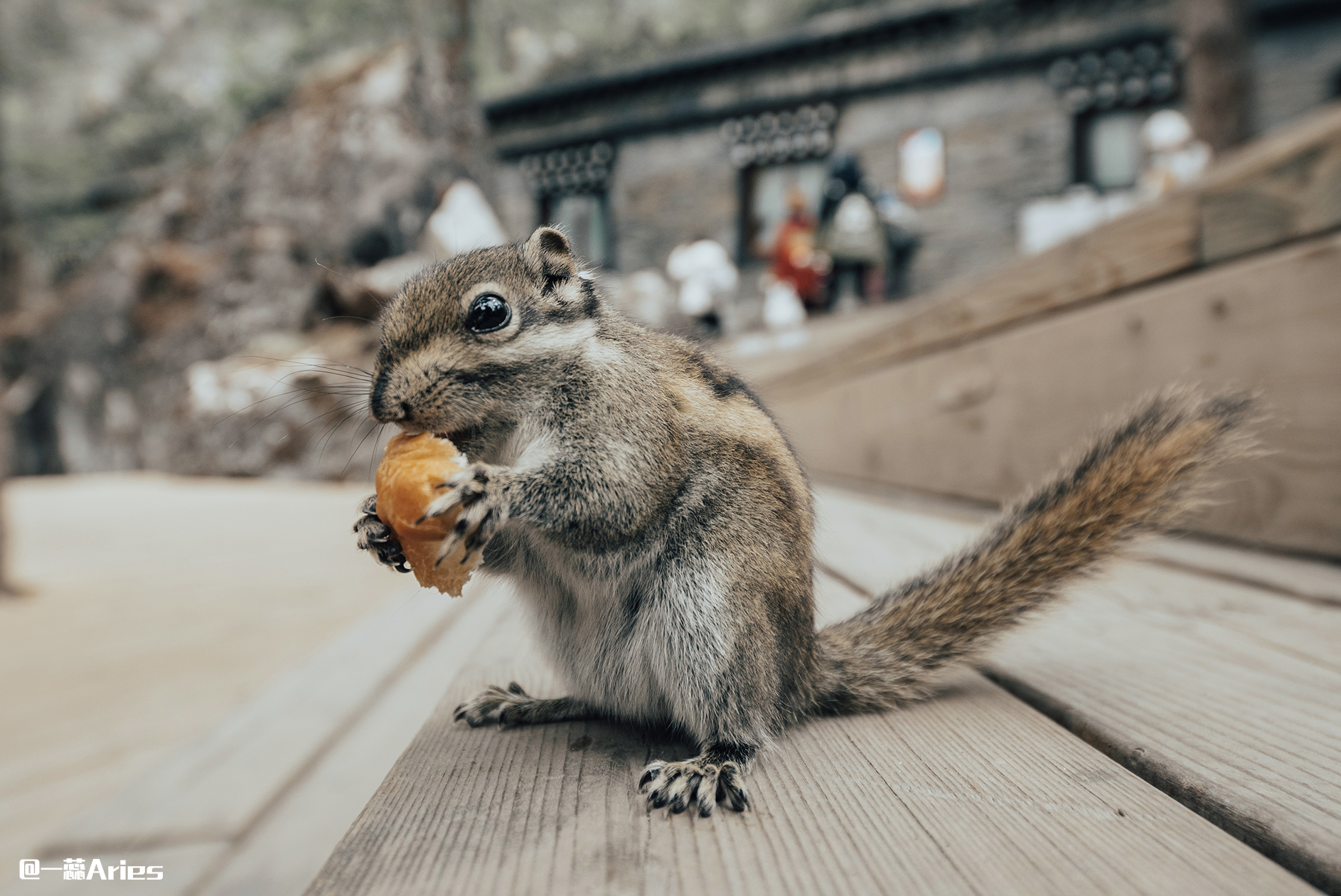 稻城亚丁8月自驾游攻略8天,稻城亚丁7月份雨季