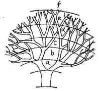 达芬奇画画懂得什么道理,达芬奇一共画了多少个鸡蛋