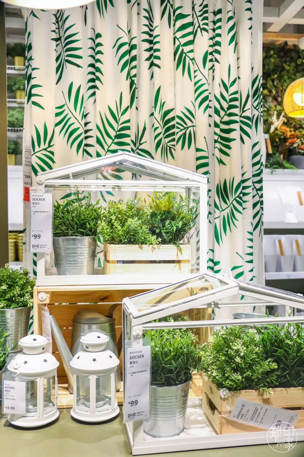 郑州宜家家居最近做活动吗,郑州宜家逛吃攻略