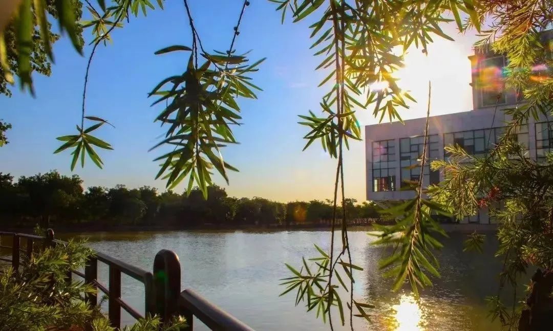 高职高考可以报广州工商学院吗,广州工商学院高职高考专业