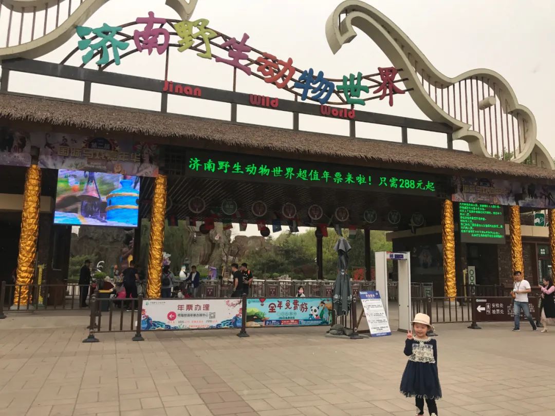 济南动物王国一日游详细攻略,济南一日游动物园