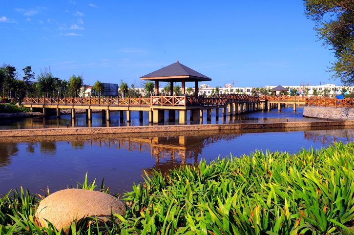 不解风情的雨季,不解风情的风