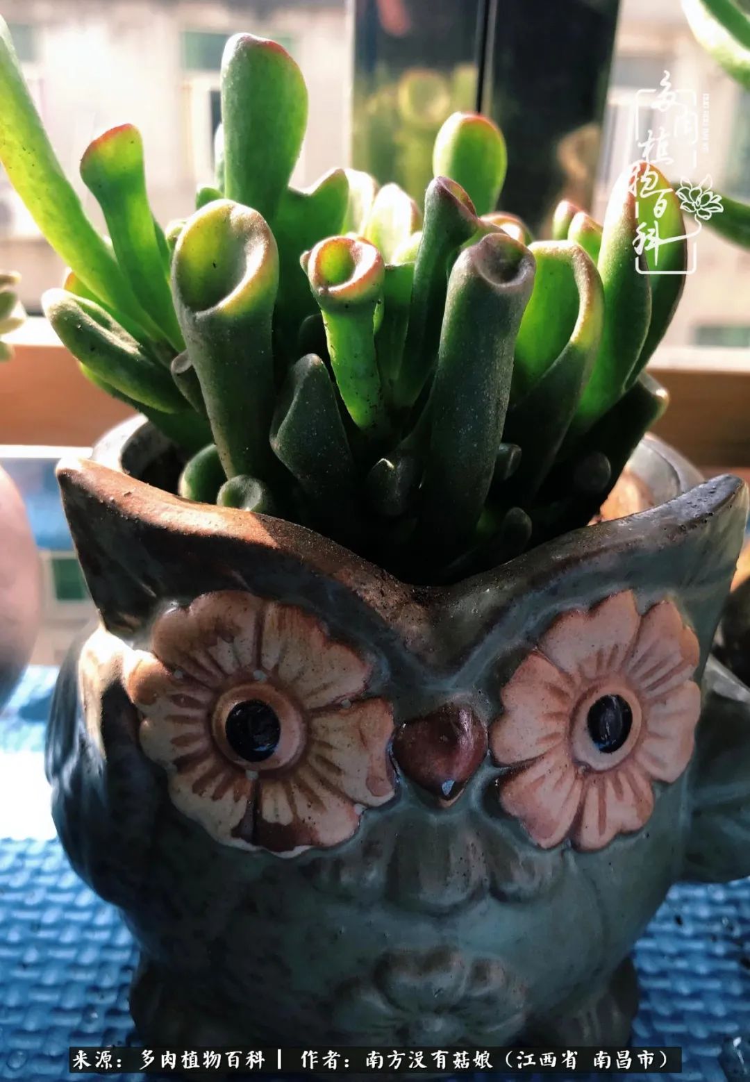 既见云胡不喜,既见君子云胡不喜毛笔楷书