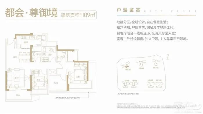 鍚堟鏂规床瀵规瘮涔愬煄,榫欏矖鍚堟鏂规床pk涔愬煄