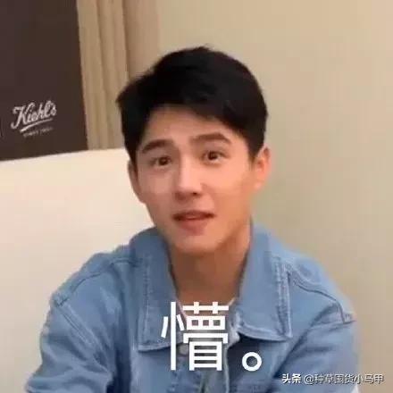 打假假网红产品,打假商品网红