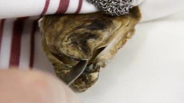 “海中牛奶”生蚝究竟能不能生吃？一篇文章解析牡蛎的养殖与品质