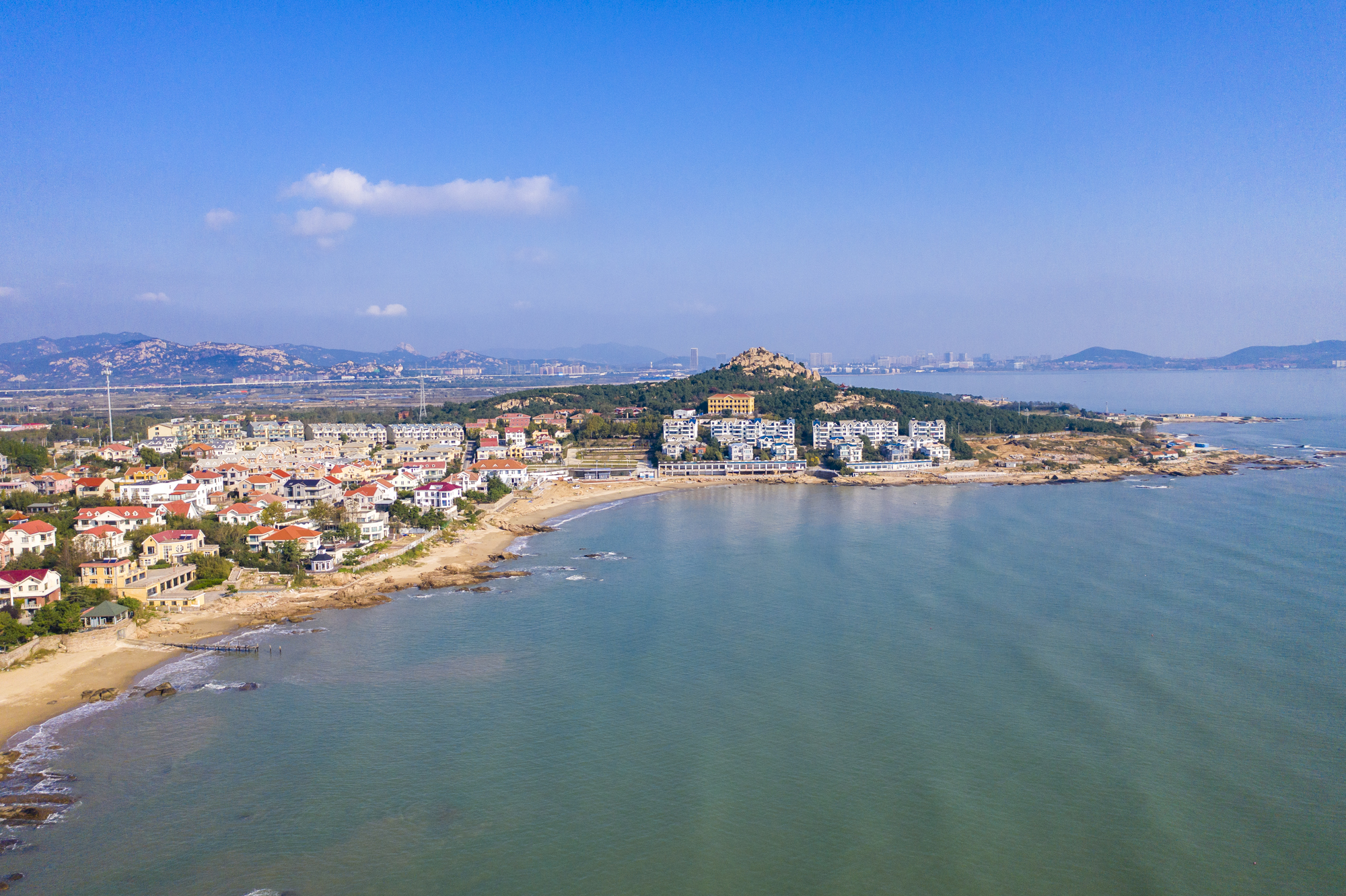 为什么突然这么多浒苔,浒苔入侵的危害