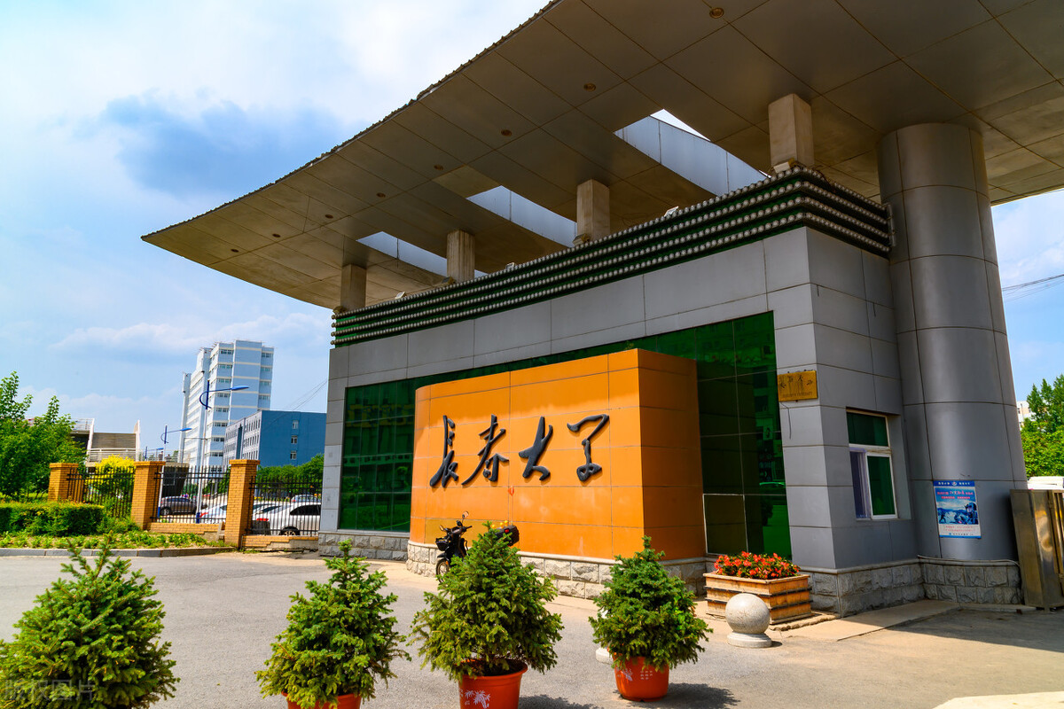 大学生该如何翻盘,大学生就业劣势如何调适