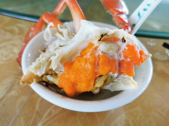 廉江龙营钓鱼视频,湛江市遂溪草潭码头钓鱼视频