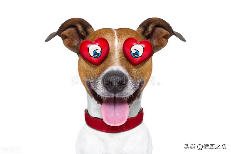 涨姿势！听过夫妻相，竟然还有夫妻病，这可能得从接吻10秒后说起