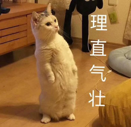 除了口红还有什么彩妆品牌,除了口红还有什么值得购买