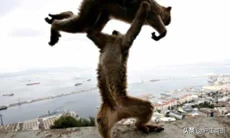 美国特色旅游景点口香糖墙,世上最恶心的景点墙上全是口香糖