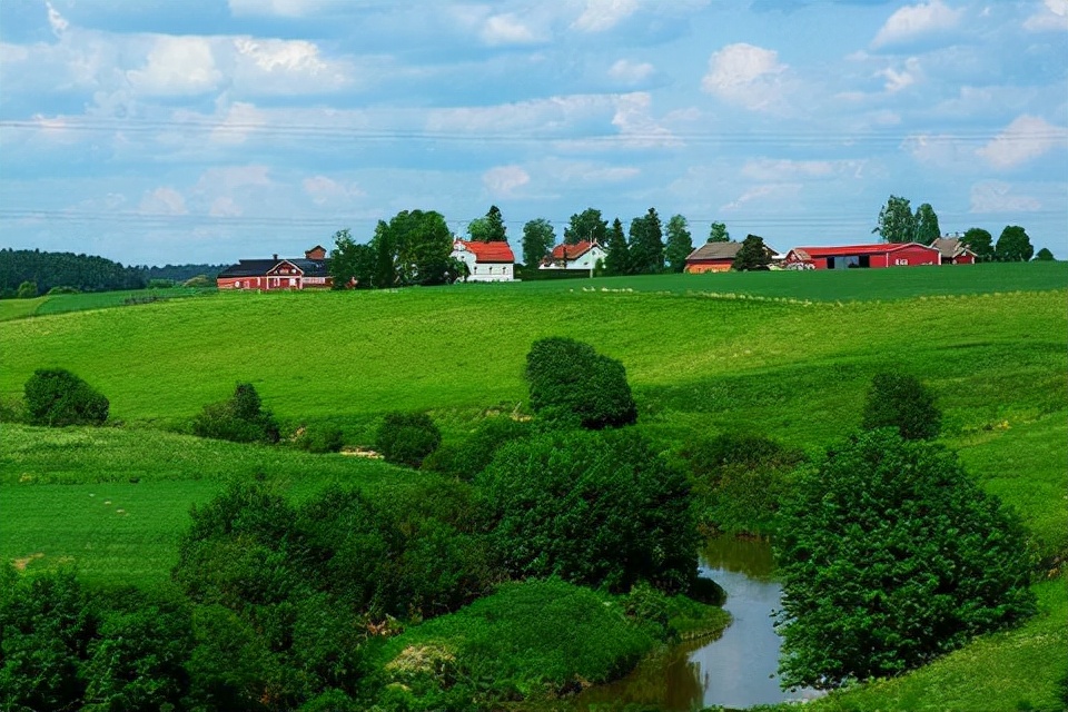 双十一蒙牛纯牛奶整箱24盒,双十一无糖纯牛奶官方旗舰店