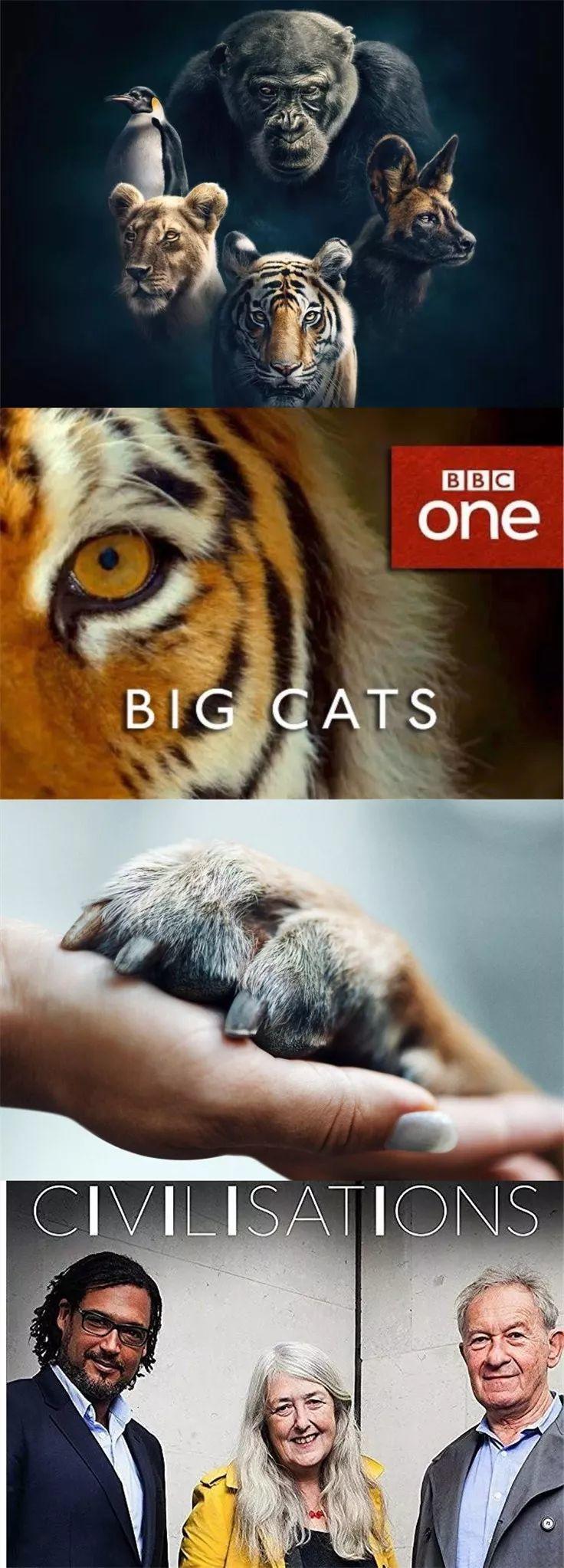 2018口碑超好的8部电视剧,最近评9分的电视剧