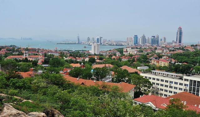 浙大网红教授郑强,浙大教授郑强最新发布