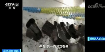 很少有假货的名牌包 (你代购的名牌包可能是真的吗)