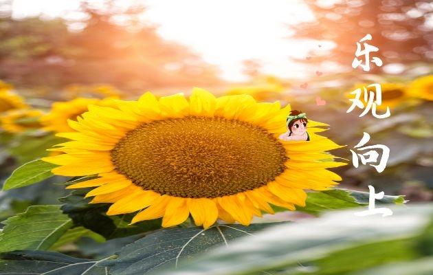 被乙肝病毒污染的器械怎么清洗,乙肝患者的医疗垃圾怎么处理