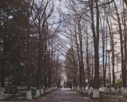 昆明适合拍照的景点有哪些,昆明大理周边旅游景点排名榜前十