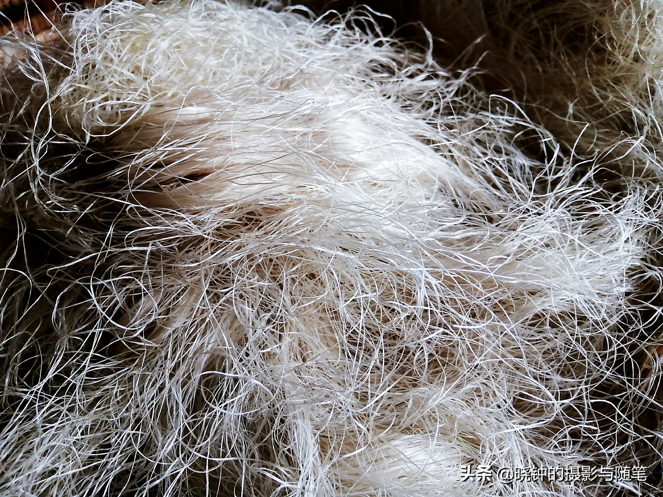 越南丝绸跟中国丝绸的区别在哪里,越南纺织丝绸