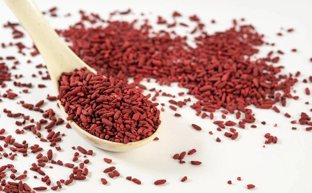 酒曲是一种什么东西,酒曲是什么