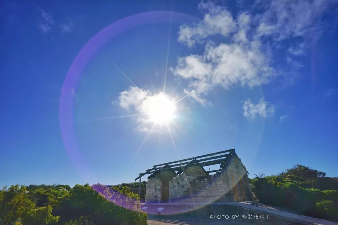 赴澳旅游注意，若带蜂蜜制品上岛，将被判两年监禁或8000澳元罚款