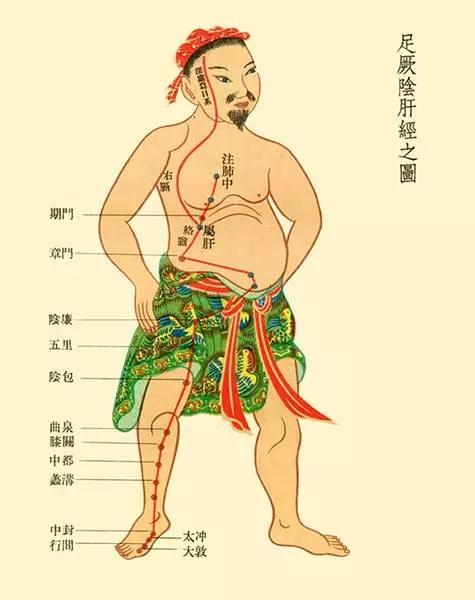 脖子粗斜方肌不对称,脖子粗大和甲状腺结节的区别