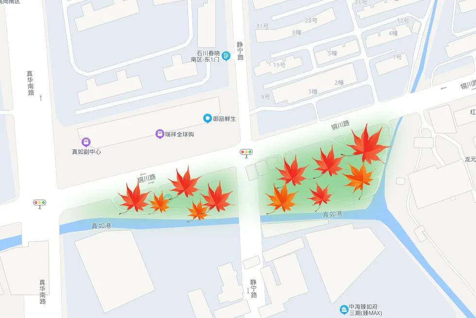 上海最美秋景,上海哪些公园可以拍秋景