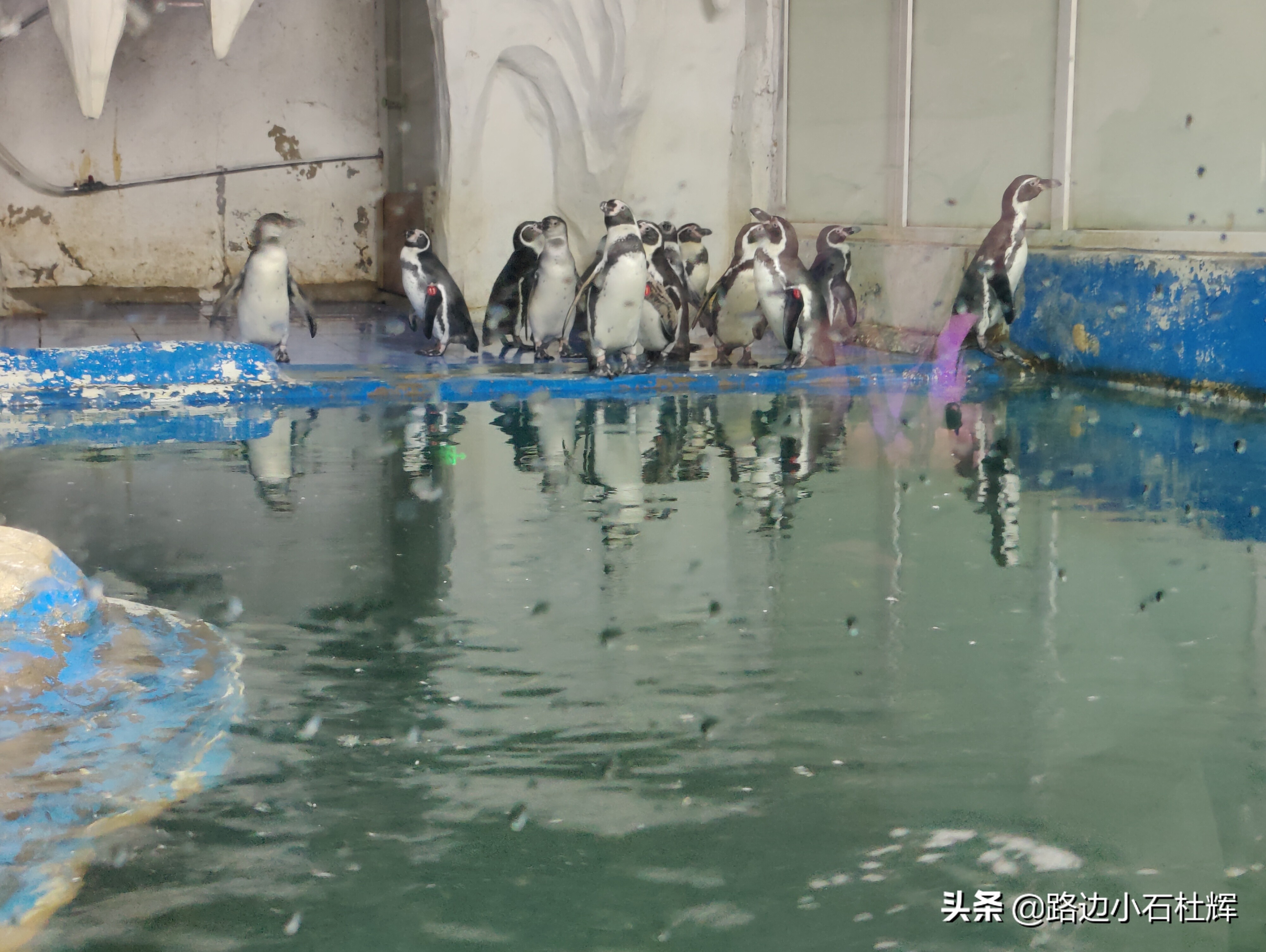 北京海洋馆海底世界游玩攻略,海洋馆北京海底世界游玩路线