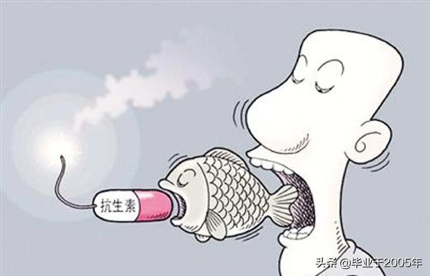 从客观角度说说海参,客观的角度说一说海参