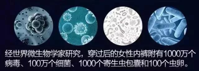 女生的裤子为什么那么容易脏,内衣裤有多脏