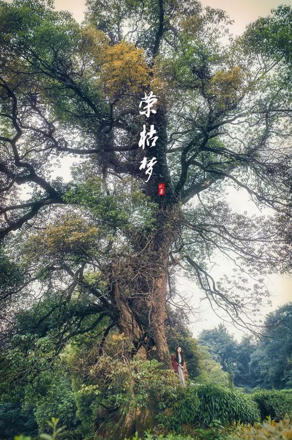 24个杭州古风拍摄地，随便一按都是张武侠大片！