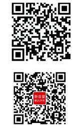 小功率胆机的福音——德国OdeonAudio奥丁Midas号角落地箱