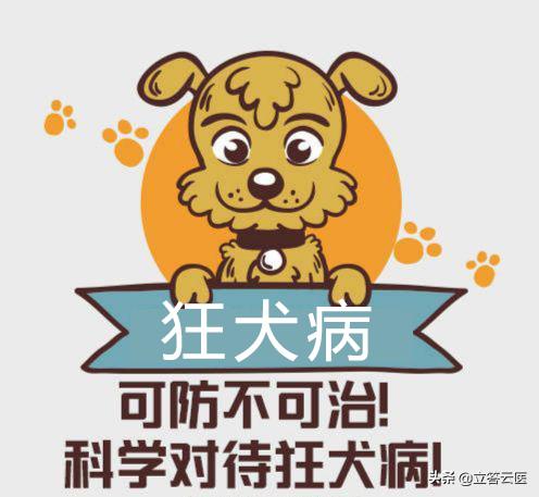 孕妇被狗咬了能打狂犬疫苗吗,孕妇被猫抓了能打狂犬疫苗吗