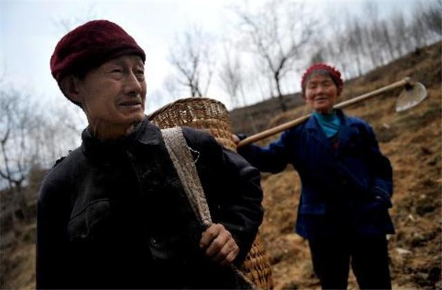 娣勫崥鍦熷尓鏉ㄥぇ灞辨槸鎬庝箞姝荤殑,鍘嗗彶涓婄殑灞变笢鎮嶅尓