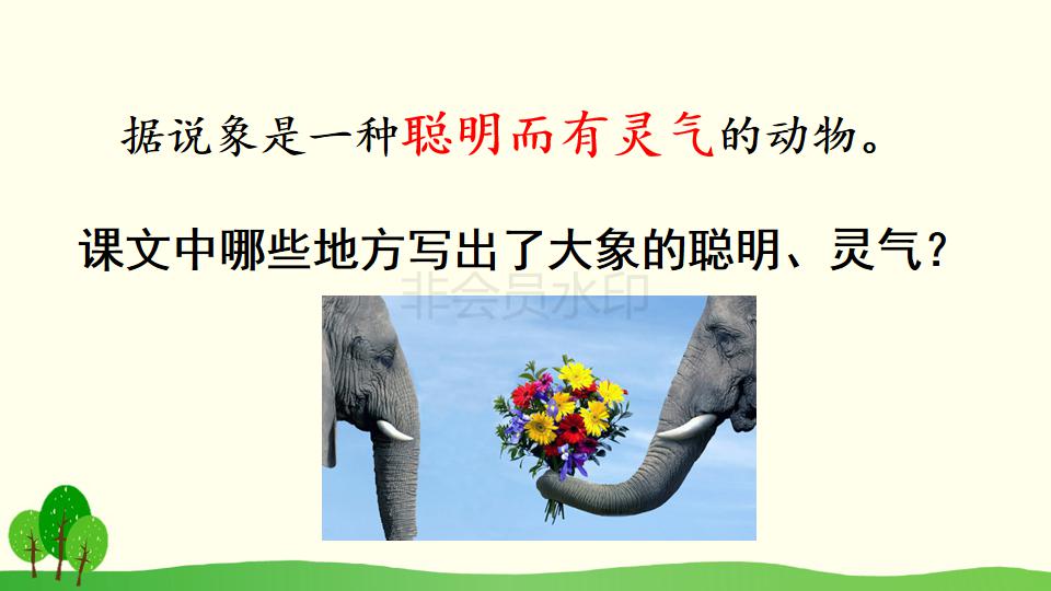 五年级下册与象共舞的作者是谁,与象共舞语文五年级下册老版