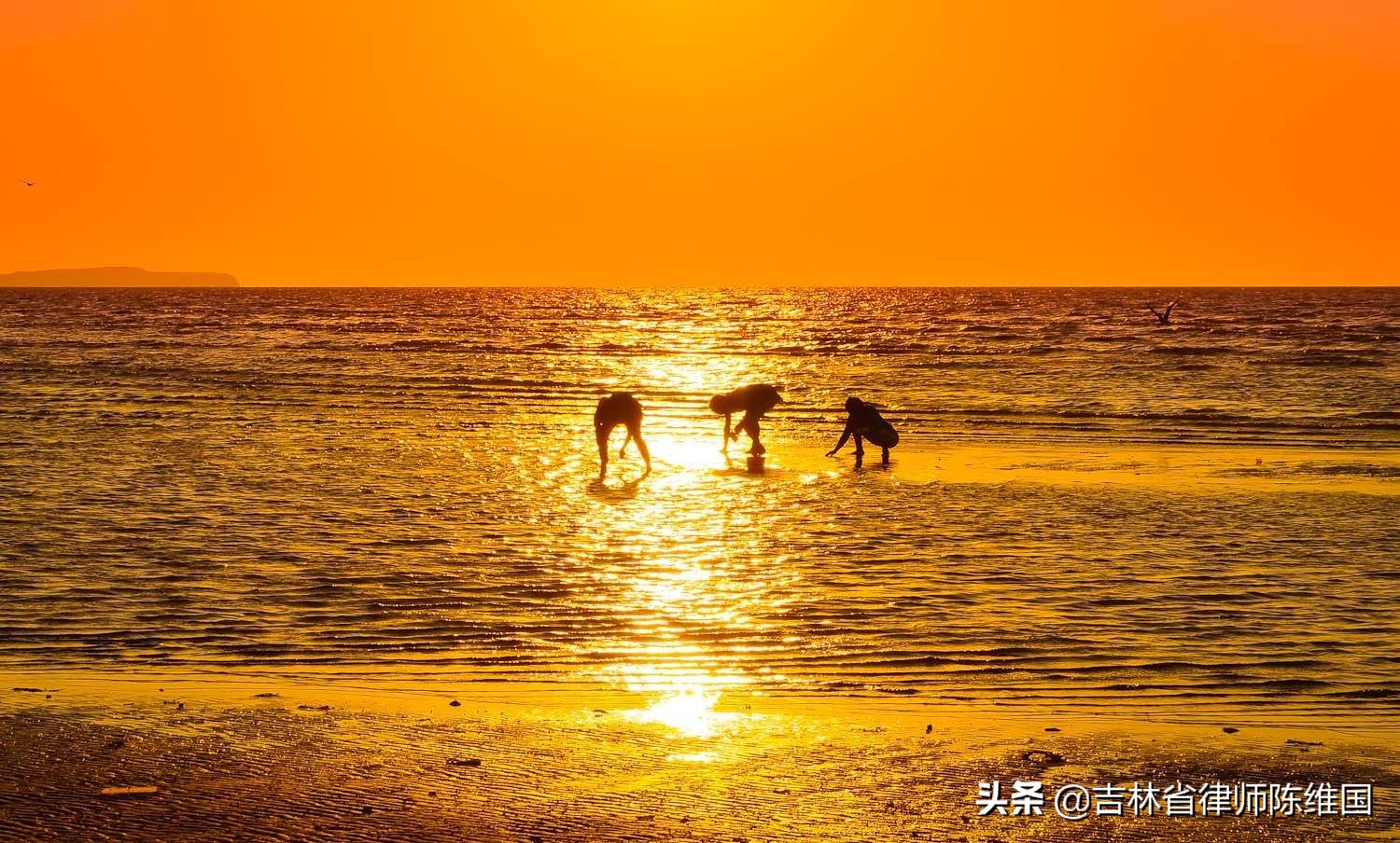 大连星海湾大桥凌水湾,大连凌水湾海边