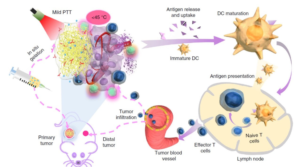 一种基于纳米医学的肿瘤光热治疗,肿瘤热疗新趋势热死肿瘤不伤身