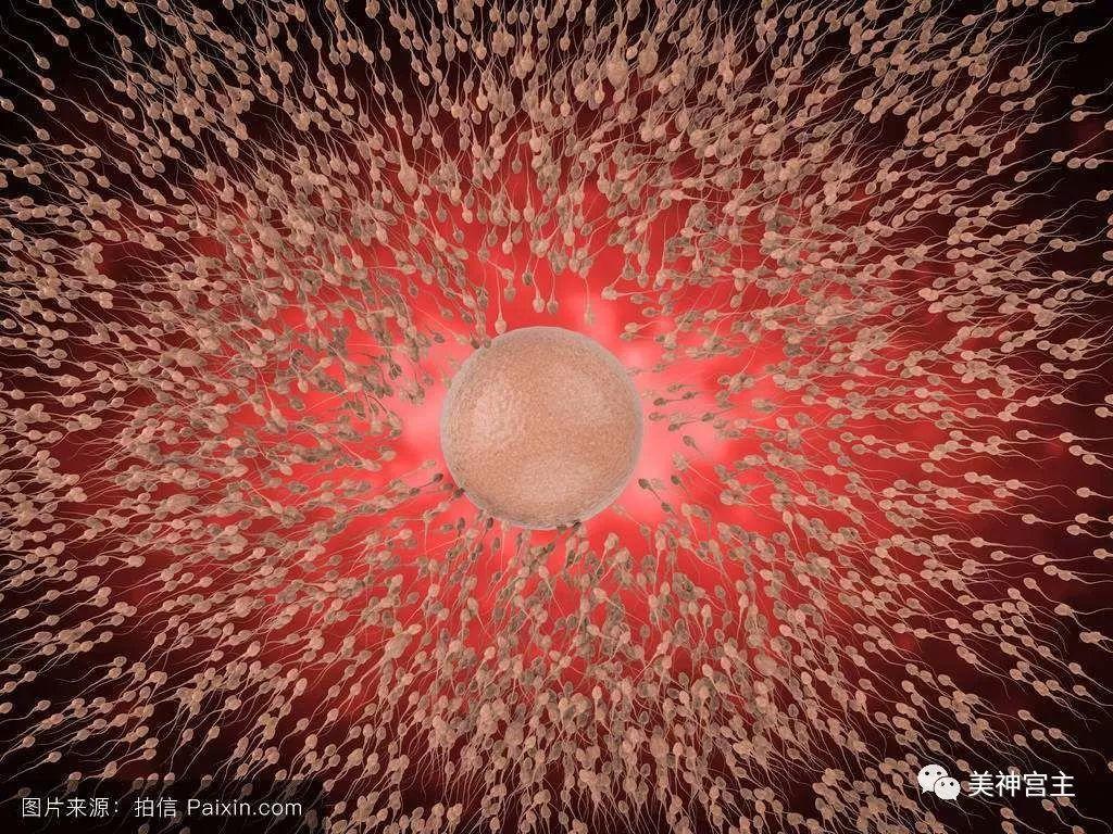 陶谷赠词朗读,陶谷赠祠图讲解