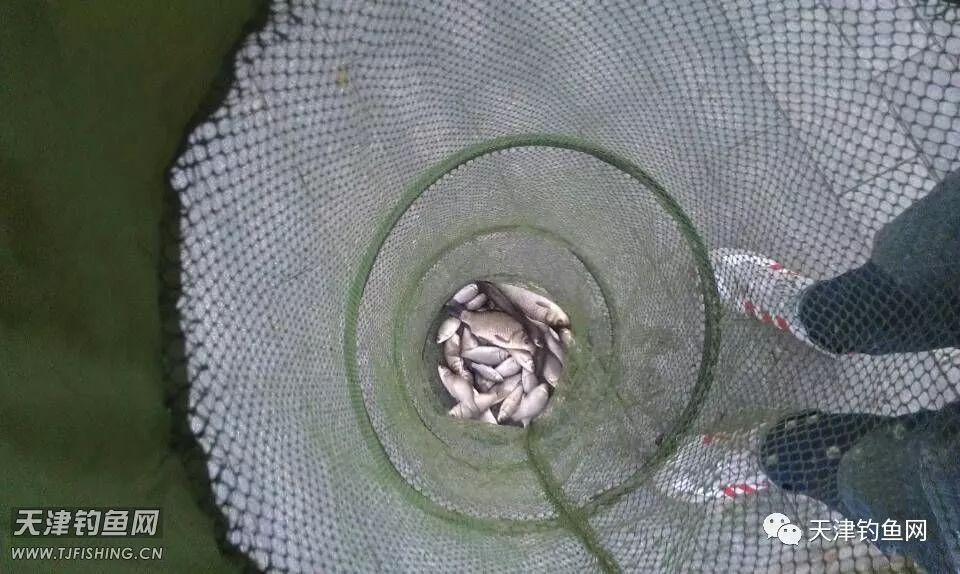 津南大学城，还是原来的地方，还是原来的味道