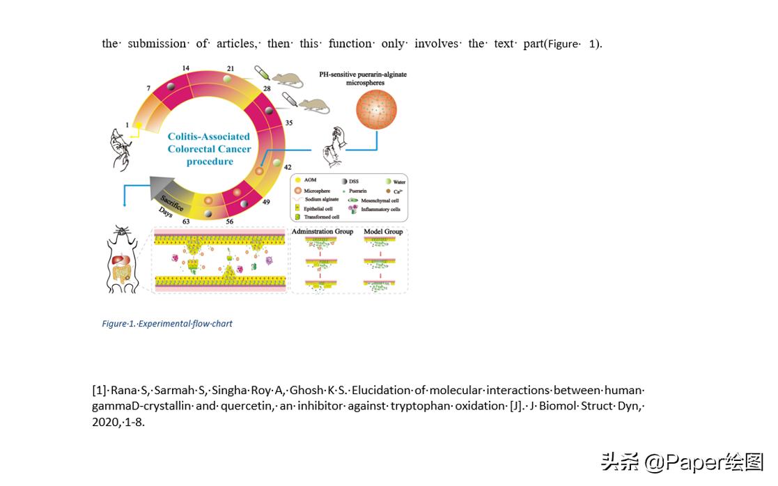 endnote怎么给文献加pdf,endnote怎么编辑文献输出格式