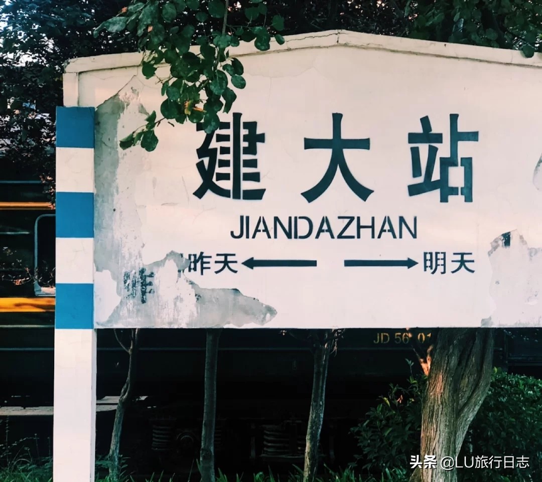 2023山东高考大学推荐,高考学子看过来