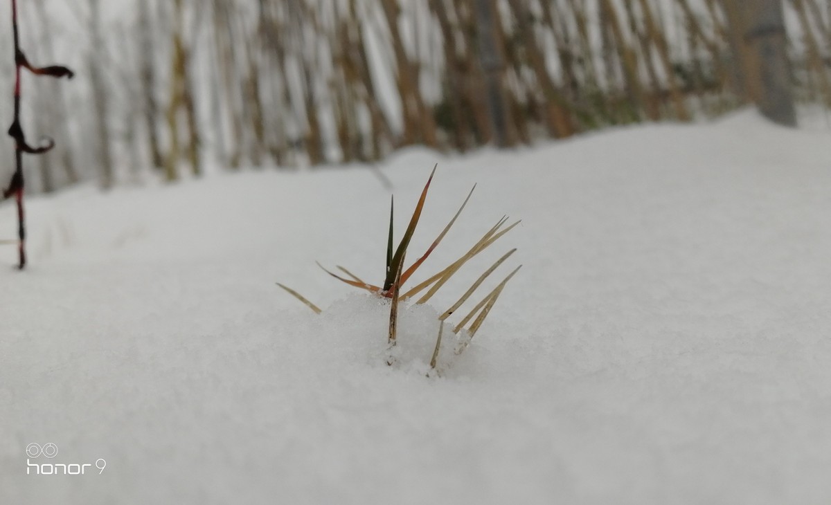 十二星座怎么评价自己,十二星座在别人眼里的看法列表