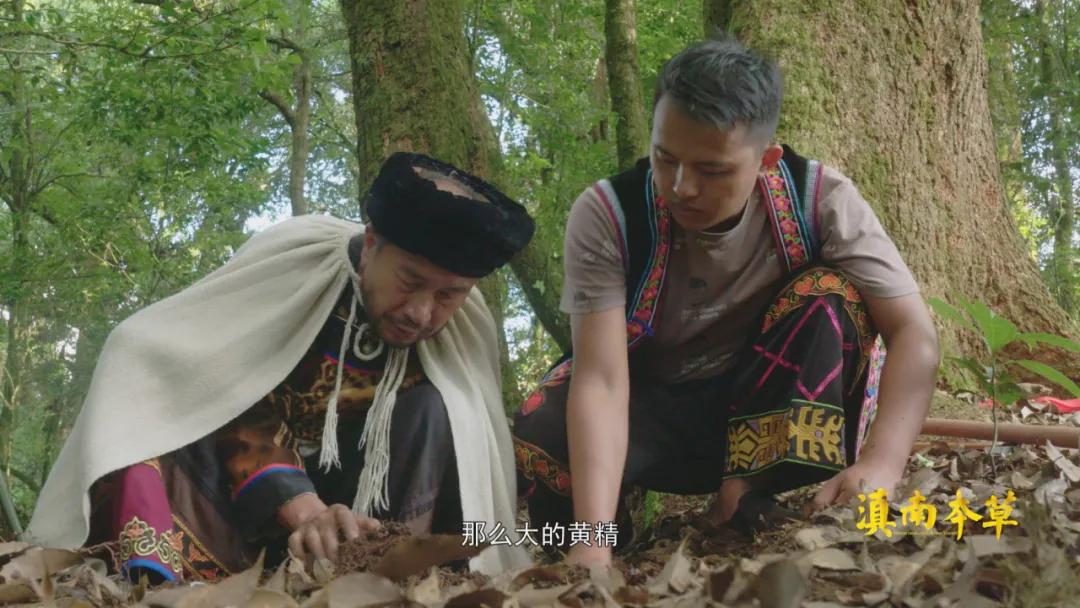 人有些啥病,民间神奇彝医真实故事