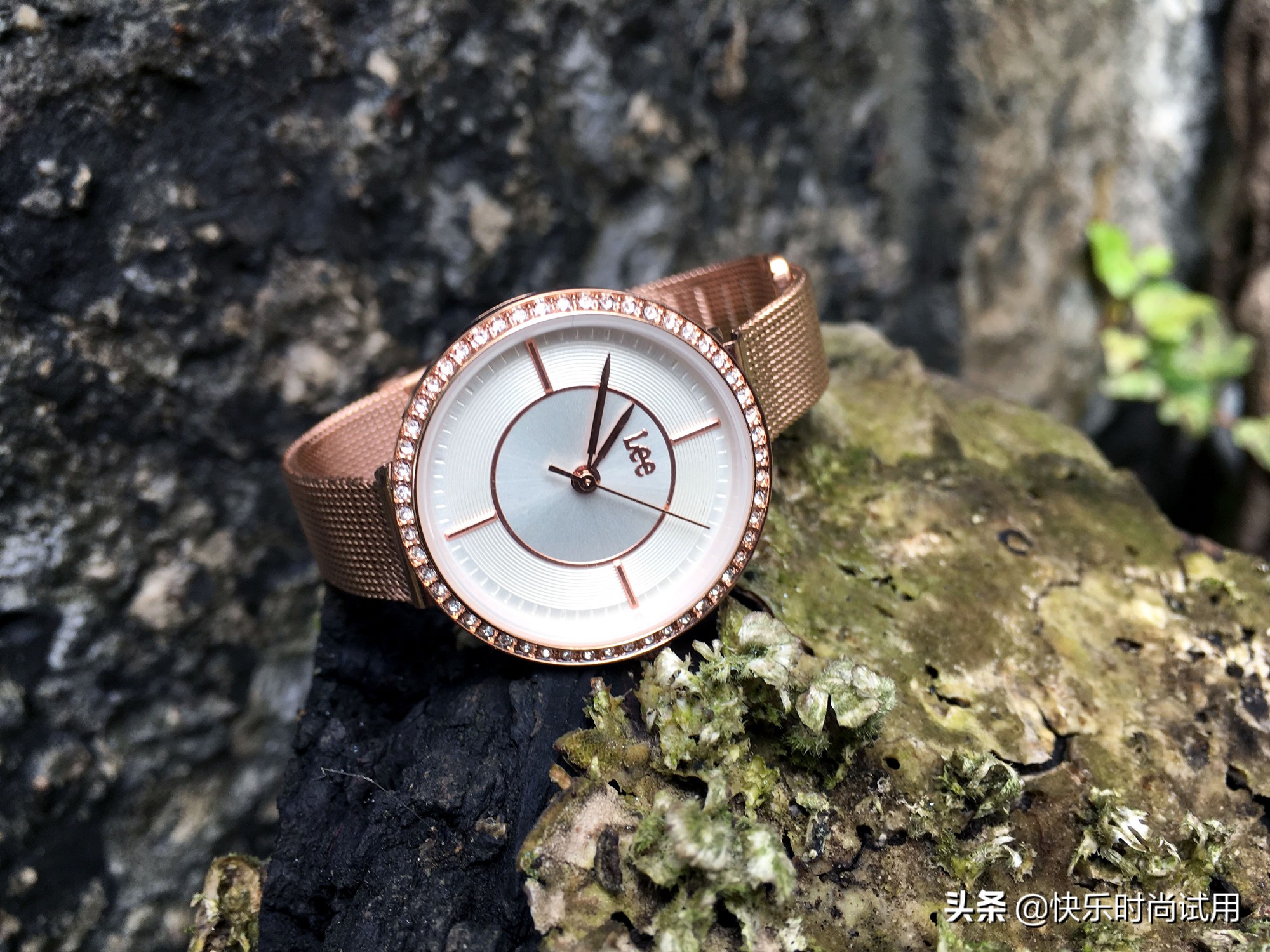 女生适合戴lee手表吗,女生戴施华洛世奇档次低吗