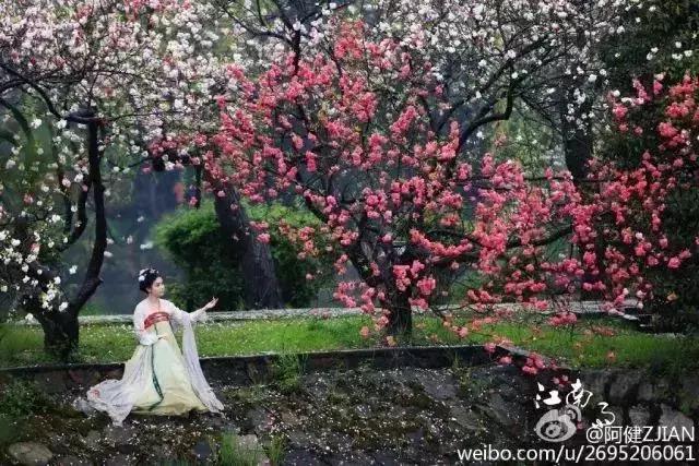 园林卡休闲卡,园林卡苏州市民卡