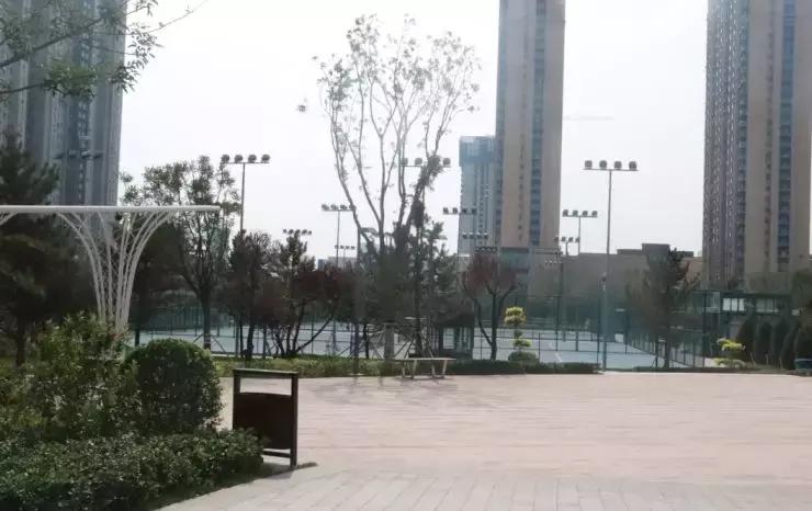 最新太原二青会,二青会山西开幕