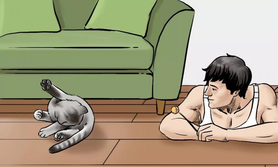 城市里养猫的人非富即贵,有多少人养猫家里有钱了