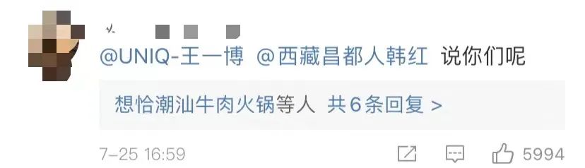 韩红王一博救援事件,韩红王一博翻车