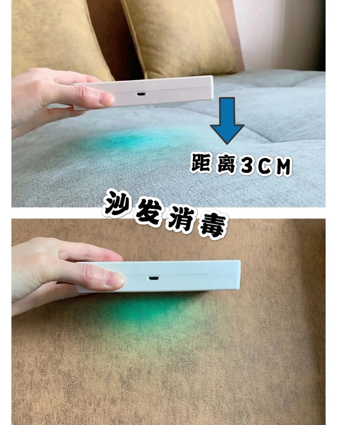 消毒杀菌小能手,小白鼠怎么消毒最有效